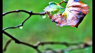 Tift Merritt - &quot;Virginia, No One Can Warn You&quot;