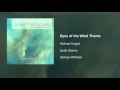 Michael Hoppé - Eyes of the Wind Theme