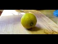 Lemonade B Roll