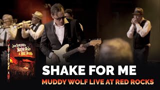 Джо Бонамаса - Shake for me