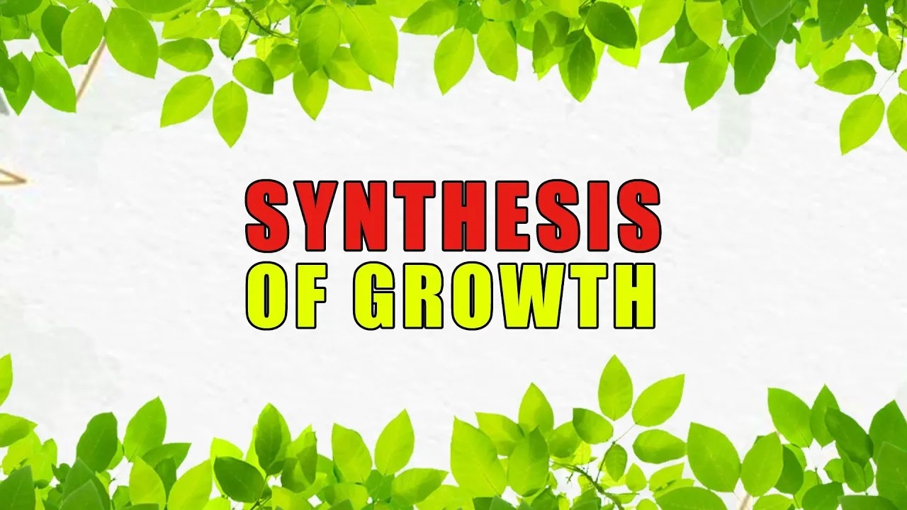 Hydroponic vs Soil: What We Actually Use