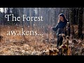 Walk With A Witch Grounding In The Forest