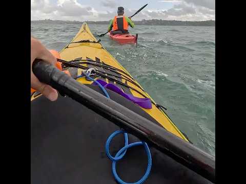 Very choppy sea! #seakayaking #stormyday #roughsea  #newzealand