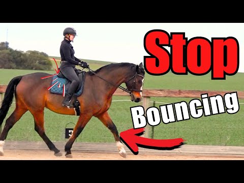 所有騎師都該知道的特技騎乘祕訣！ (Sit Trot Secrets Every Rider Should Know)