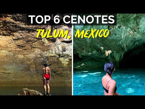 Top 6 Cenotes in Tulum, Mexico