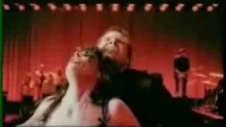 Meat Loaf -Couldn't Have Said It Better - TV Nightline