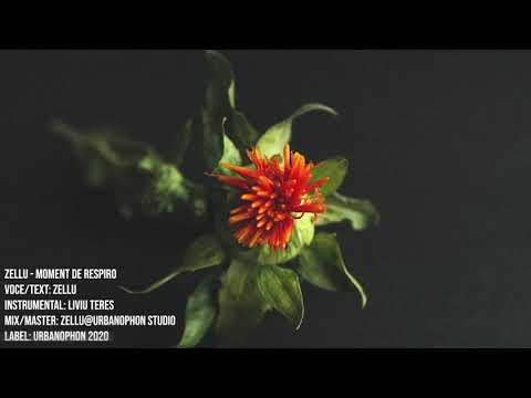 Zellu - Moment de respiro (Instr. Liviu Teres)