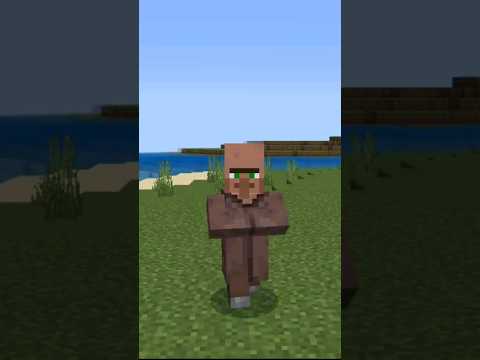 PIQZATION - Transforming into a Villager in Minecraft!