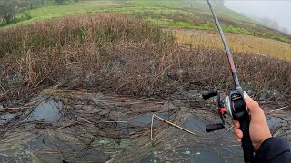 A foggy morning of spring fishing