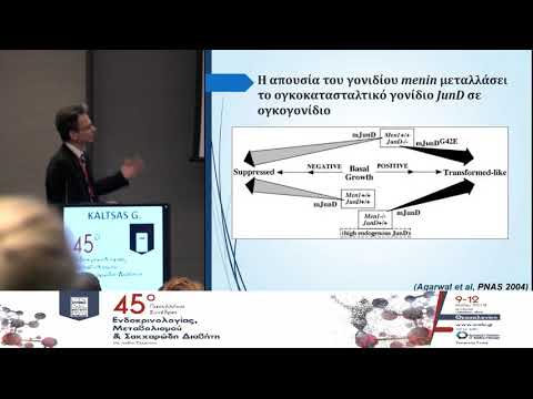 G. Kaltsas - MEN1 diagnostic approach, screening and management