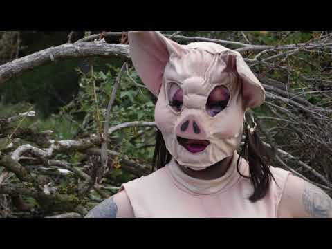 TRAUMA - TEMATICA MAKE UP ANIMAL EN ESCUELITA FG3