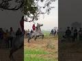 Bareback Riding Highlights Freedom Rider Horse Horseridingclub