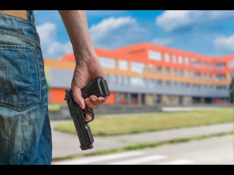 Traumatic Grief and School Shootings Videograms
