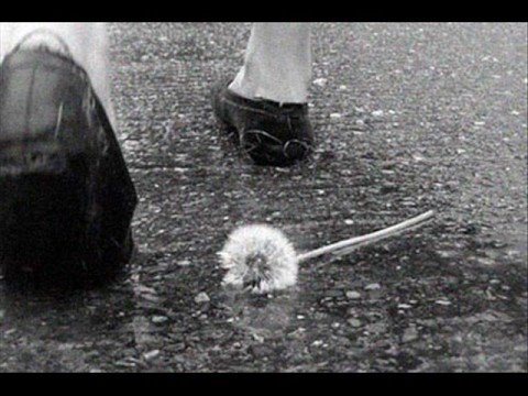 CarolineConceicao17’s Video 65098646539 MN7kgk7K9NQ