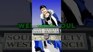 The Real Reason Why Quincies Came to Japan Just to Fight Hollows in Bleach Anime!