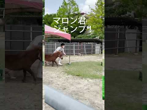 【医療秘書学科】バイオセラピー演習 in 大阪府立農芸高校