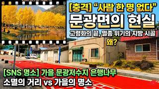 충북 괴산군 문광면 [지방 인구소멸 현장체험]면소재지 전체를 걸었지만 상가는 비었고 마주치는 사람 한 명 없어요/30년의 절반으… 영상 썸네일