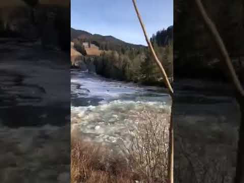 На Черемоші утворився льодохід – у мережі оприлюднили неймовірне відео