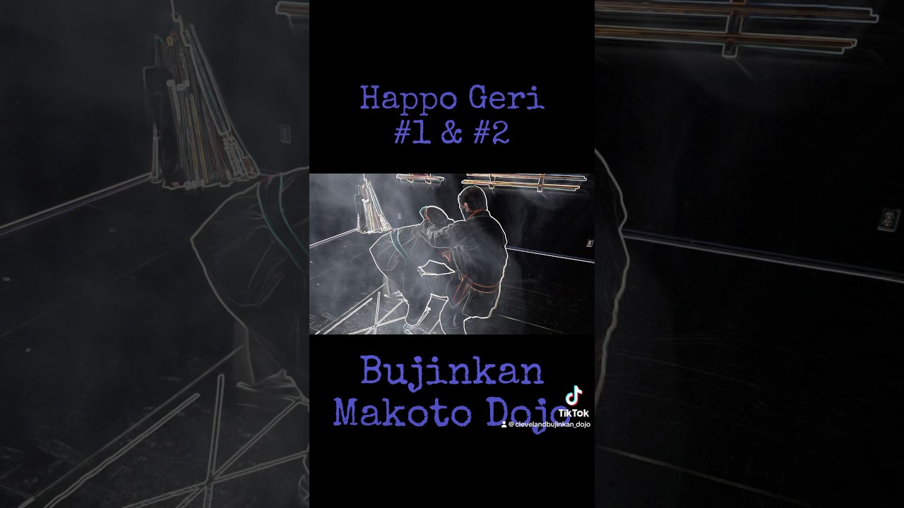 “Secret Ninja Kicking” Happo Geri From The Earth Scroll! #bujinkan #budo #ninjatraining