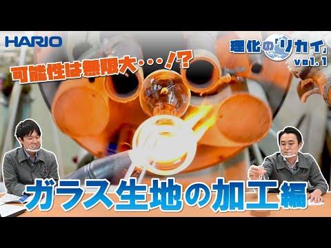 ハイイロタカについて詳しく解説