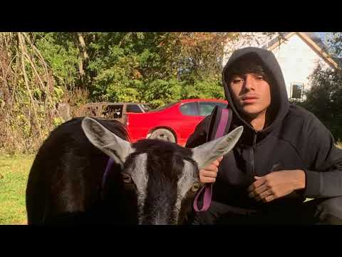 (FREE) Shittyboyz Babytron x Stanwill type beat "GOAT TALK" - DETROIT TYPE BEAT 2020