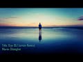 Dua Shanghai DJ Lemon Remix