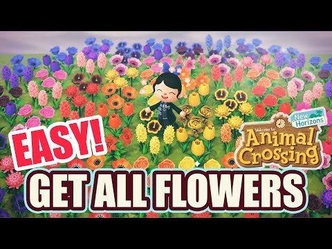 How to: Get ALL HYBRID FLOWERS EASILY in Animal Crossing New Horizons