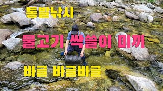 청정계곡 통발에 ○○○미끼넣고 고급어종 잡아서 매운탕 먹어보자 /환장하는 물고기미끼