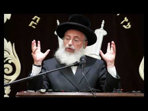 Rav Asher Weiss on the Chilul Hashem Aspect of Porch Minyanim