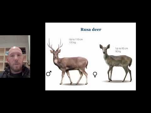 ジョーダン・ハンプトン博士 |オーストラリアの野生シカに対する地上射撃の動物福祉評価