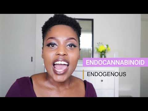 CANNABIS 101 - THE ENDOCANNABINOID SYSTEM (PART 1)