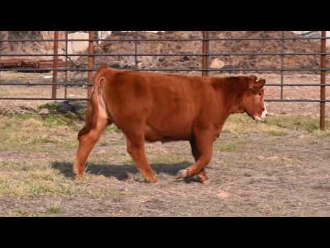 Listing 31771641390-video