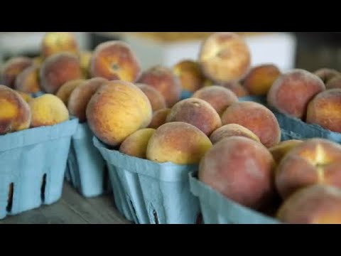 Farmer's Market Peaches Stock Video