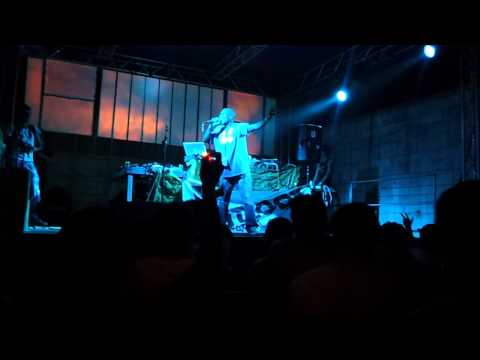 outlook festival 2011 mungos hifi arena (daddy freddy)