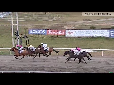 Mondo Galoppo – PRIMI PASSI DI RINASCITA