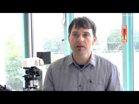 3 Fragen an… Prof. Siebert