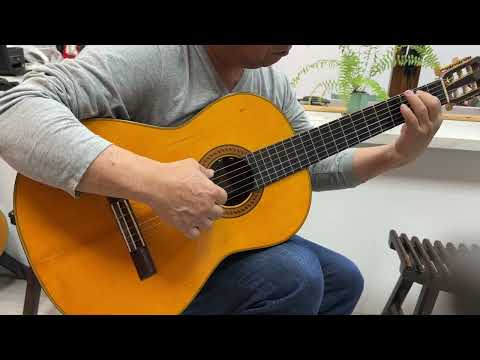 《綠袖子》｜演奏：范賢傑