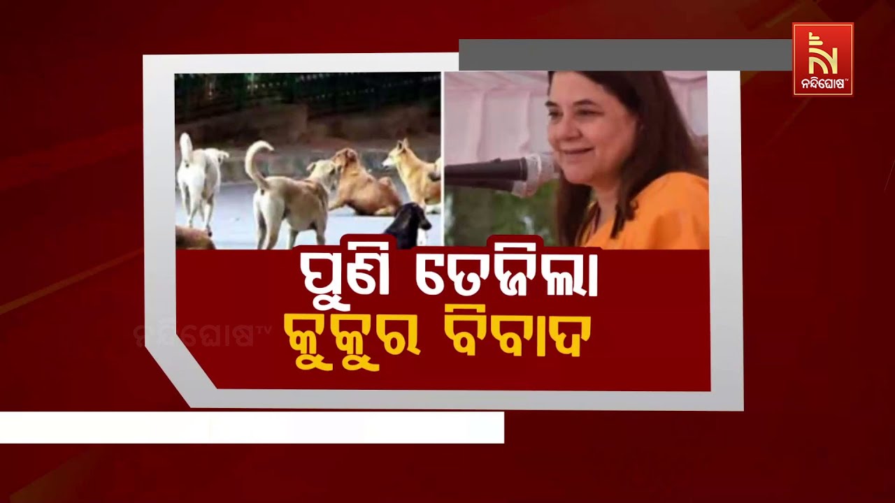 🔴Live |ପୁଣି ତେଜିଲା କୁକୁର ବିବାଦ