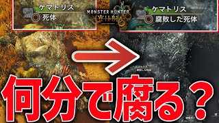 【モンハンワイルズ検証】モンスターって狩猟後何分で腐敗する？実際に検証してみたら驚きの結果に！？