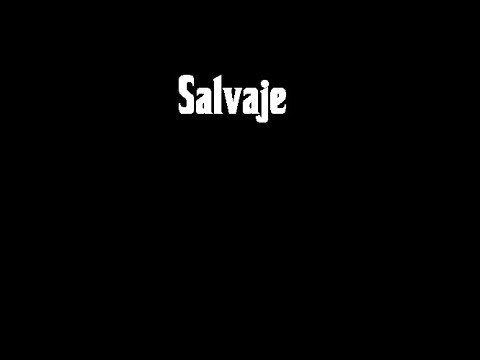 Salvaje (Lyric Visual)