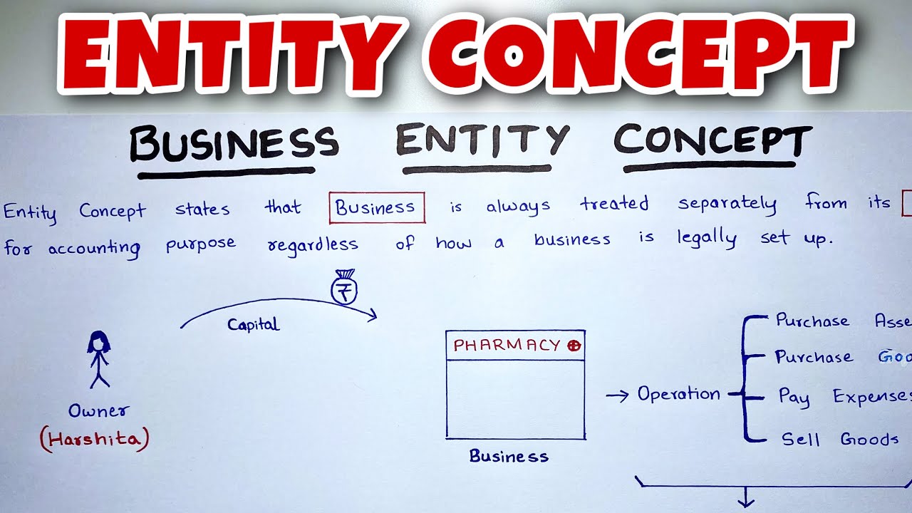 Entity Concept EXPLAINED - By Saheb Academy