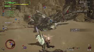 モンハンワイルズ　参加型　適当に何でも行きます