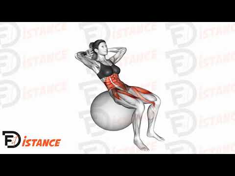 Exercice Sit-up sur ballon (Swiss Ball)