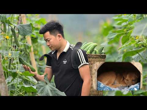 The young CEO leaves the city. A rural market and a surprise gift for his little friend.