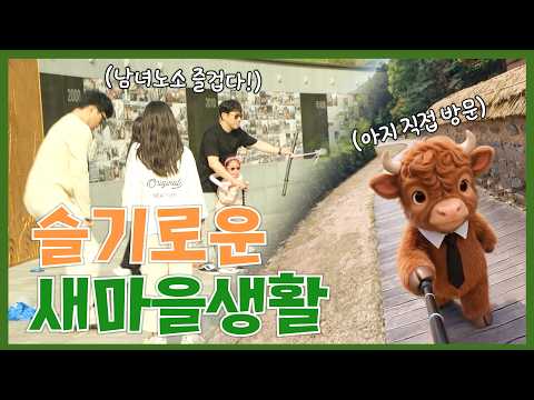 아지 주무관이 직접 간다!! 아지의 금화찾기 대모험✨ | 청도 슬기로운 새마을생활