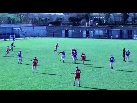 Wicklow v Derry NHL Final  2019