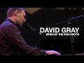 DAVID GRAY - Birds Of The High Arctic (Live)