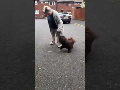 Karima- ringcraft training 30.4.22