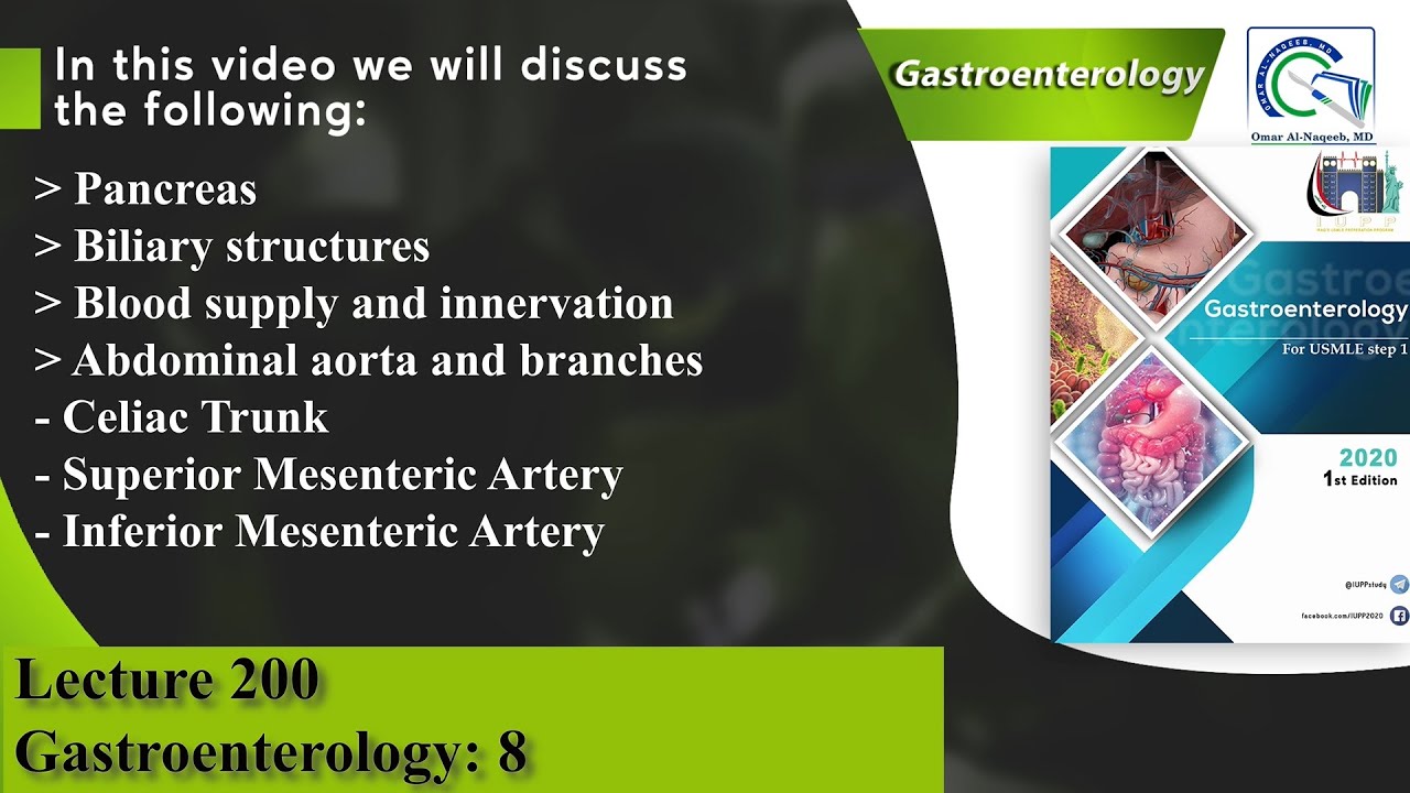 Pancreas | Biliary structures | Abdominal aorta | Celiac Trunk | Superior Mesenteric Artery
