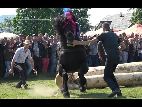 Concurs cu cai de tractiune, Horodnic de Sus, Bucovina - 6 mai 2018